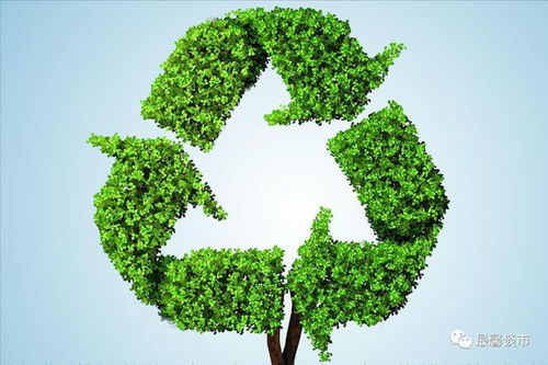 固废治理 环保产业的核心赛道，聚焦四大潜力龙头企业