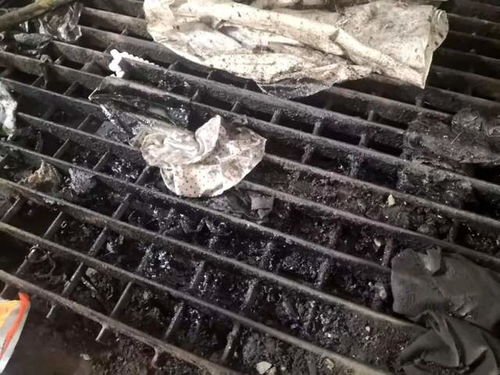大连通报两起典型案例 固体废物污染治理敲响警钟